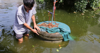 Gần 3 triệu người dân Hà Nội thiếu nước sạch