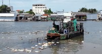 Vấn nạn rác trên sông ở tỉnh Cà Mau