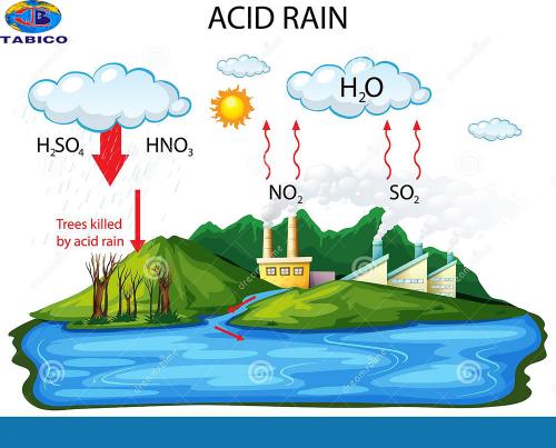 anh huong cua mua axit
