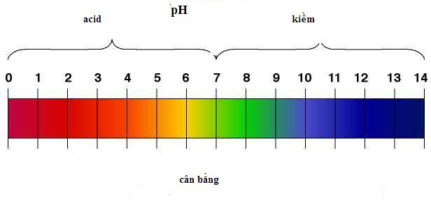 Nồng độ pH là gì? Và có ảnh hưởng như thế nào đến sức khỏe người sử dụng?